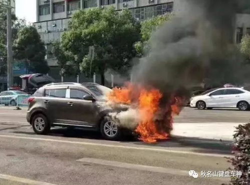 汽车撞车多少会起火